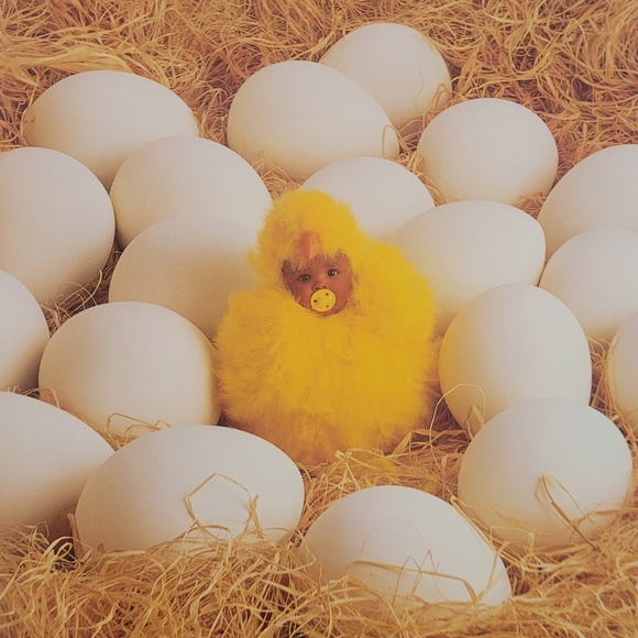 Anne Geddes "Down in the Garden" Big Coffee Table Book - Picture 4 of 16